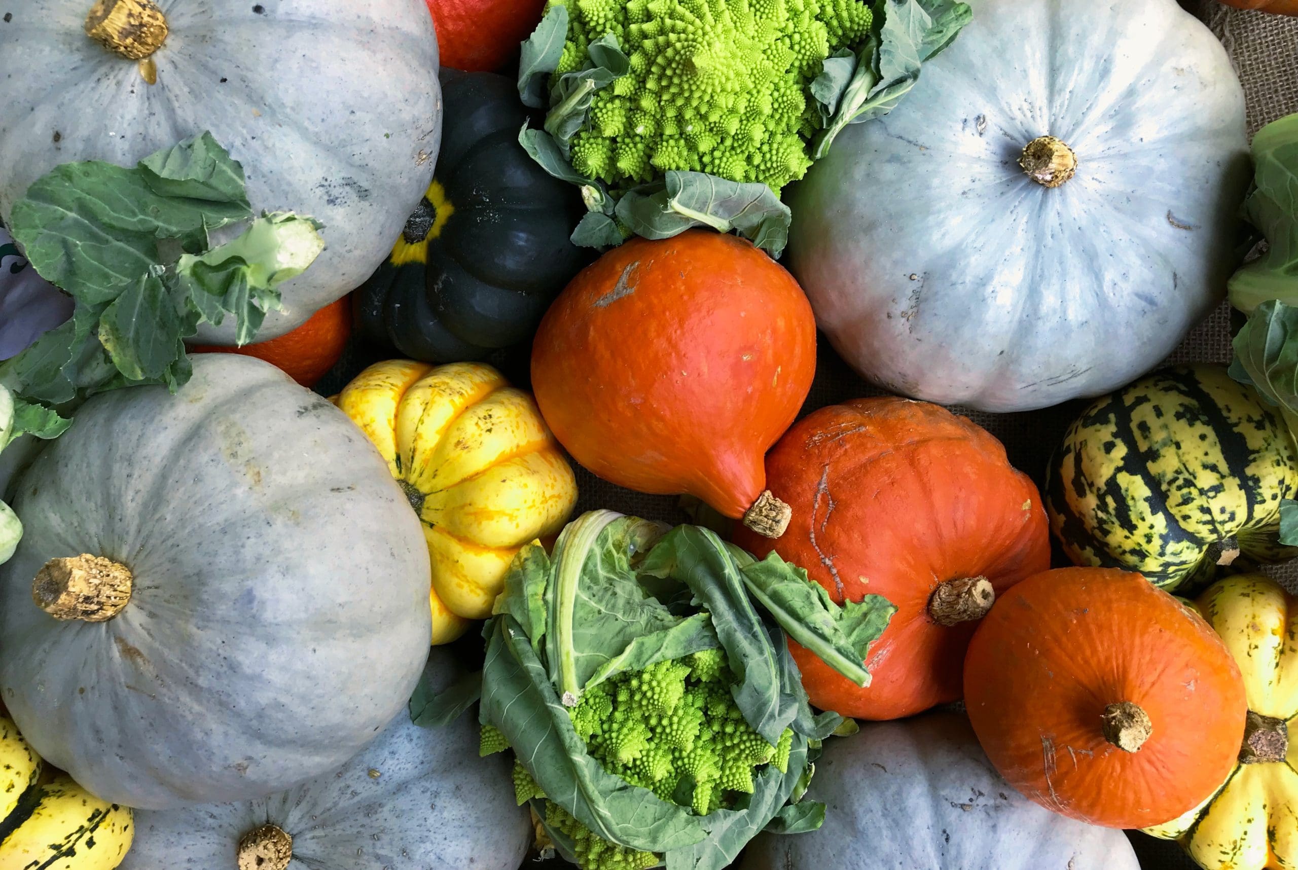 Fall-Vegetables-Image